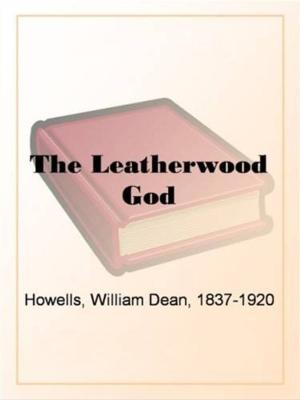 Book cover of The Leatherwood God