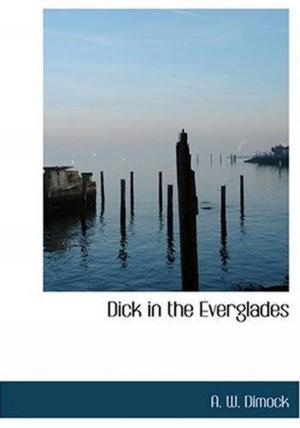 Cover of the book Dick In The Everglades by José Maria Eça de Queirós