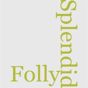 bigCover of the book The Splendid Folly by 