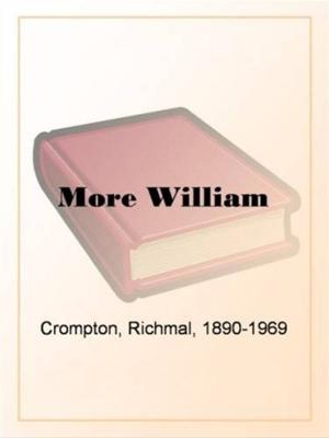 Book cover of More William