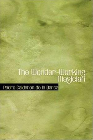 Book cover of The Wonder-Working Magician