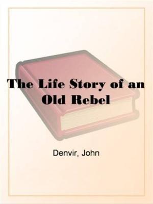 Cover of the book The Life Story Of An Old Rebel by Temple Bailey