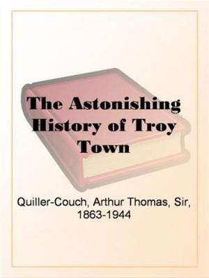 Book cover of The Astonishing History Of Troy Town