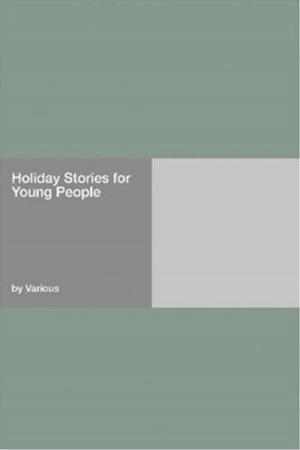 Cover of the book Holiday Stories For Young People by Jean Levesque De Burigny