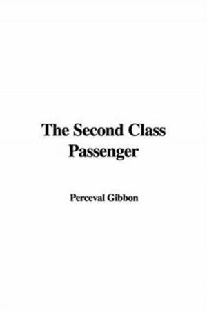 Cover of the book The Second Class Passenger by Edwin E. Slosson