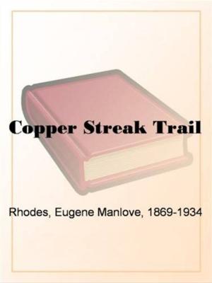 Cover of the book Copper Streak Trail by Winston Churchill