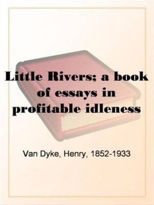 Cover of the book Little Rivers by David Cory
