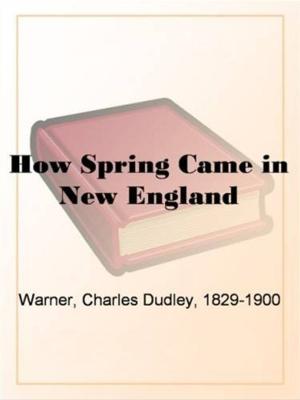 bigCover of the book How Spring Came In New England by 
