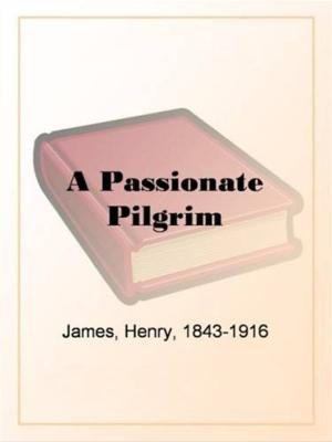 Cover of the book A Passionate Pilgrim by Michel De Montaigne