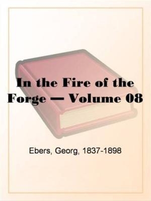 Book cover of In The Fire Of The Forge, Volume 8.