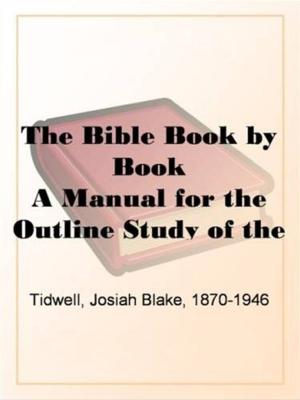 Cover of the book The Bible Book By Book by Frank G. Allen