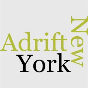 Book cover of Adrift In New York
