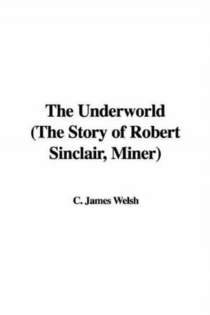 bigCover of the book The Underworld by 