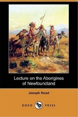 Cover of the book Lecture On The Aborigines Of Newfoundland by James Harrison Wilson