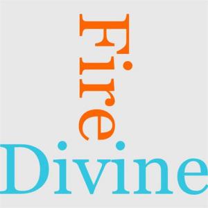 bigCover of the book The Divine Fire by 
