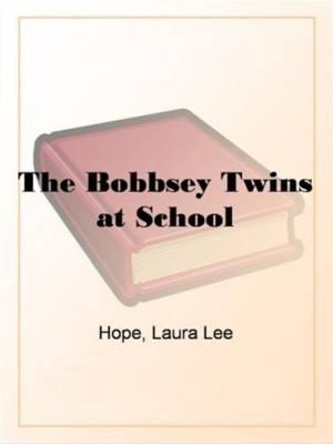Book cover of The Bobbsey Twins At School