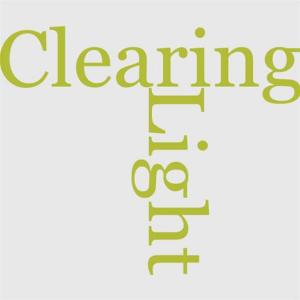 Cover of the book The Light In The Clearing by George Gibbs