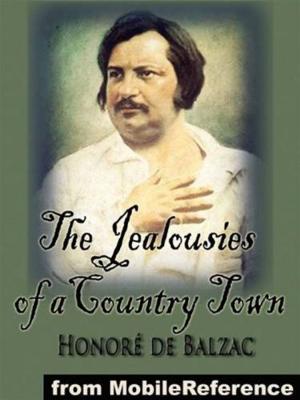 Cover of the book The Jealousies Of A Country Town by Nellie M. Leonard