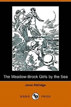 Cover of the book The Meadow-Brook Girls By The Sea by Annie Fellows Johnston