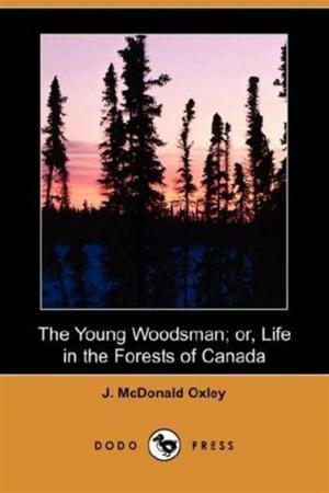 Cover of the book The Young Woodsman by Stephen Crane