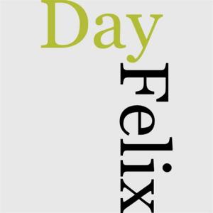 Cover of the book Felix O'Day by Sara Ware Bassett