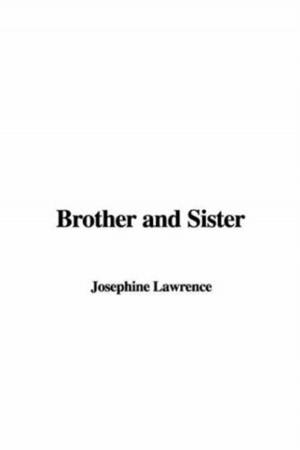 Cover of the book Brother And Sister by W. D. Howells