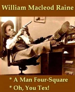 Cover of the book A Man Four-Square by Charles Dudley Warner