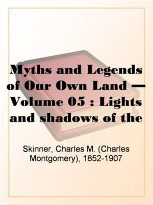 Book cover of Lights And Shadows Of The South