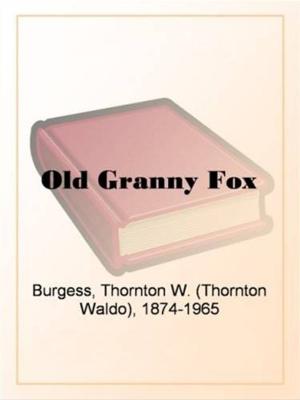 Book cover of Old Granny Fox