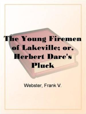 Book cover of The Young Firemen Of Lakeville