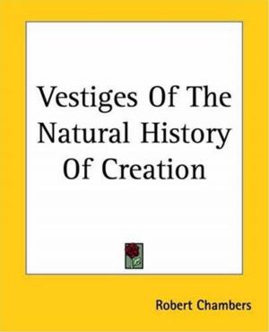 Cover of the book Vestiges Of The Natural History Of Creation by Arnold Bennett