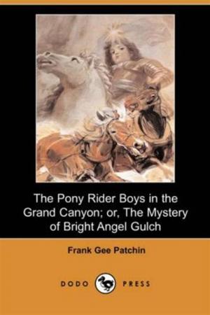 Book cover of The Pony Rider Boys In The Grand Canyon