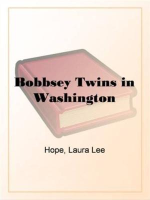 Book cover of Bobbsey Twins In Washington