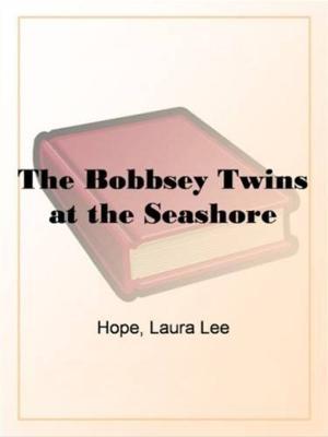 Book cover of The Bobbsey Twins At The Seashore
