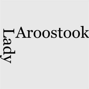 bigCover of the book The Lady Of The Aroostook by 
