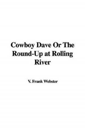 Cover of the book Cowboy Dave by Various