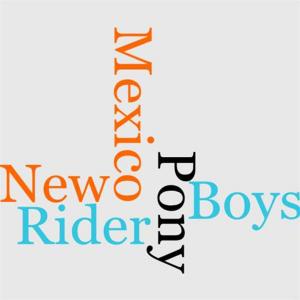 Book cover of The Pony Rider Boys In New Mexico