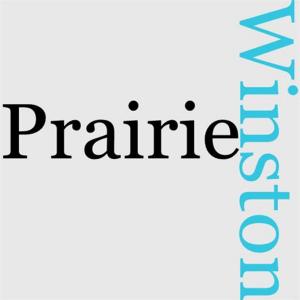 Cover of the book Winston Of The Prairie by Amber Jantine