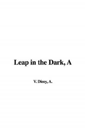 Book cover of A Leap In The Dark