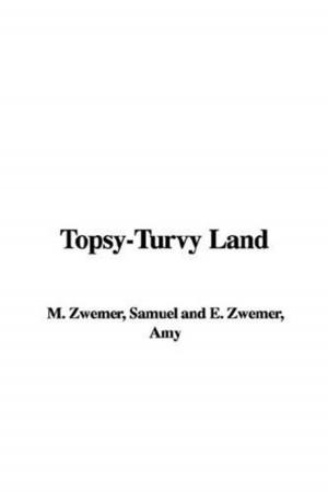Cover of the book Topsy-Turvy Land by Josiah Allen's Wife (Marietta Holley)