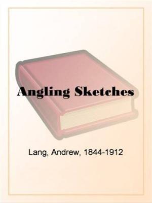 Cover of the book Angling Sketches by Clara Louise Burnham