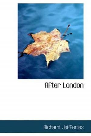 Cover of the book After London by Juliana Horatia Ewing