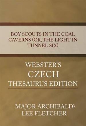 Cover of the book Boy Scouts In The Coal Caverns by William E. Doubleday