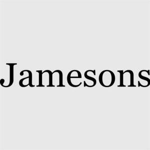 Cover of the book The Jamesons by Philip Thicknesse