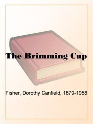 Cover of the book The Brimming Cup by Lord (Edward J. M. D. Plunkett), 1878-1957 Dunsany