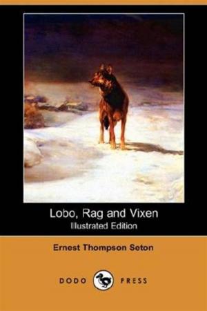 Cover of the book Lobo, Rag And Vixen by Frances Hodgson Burnett