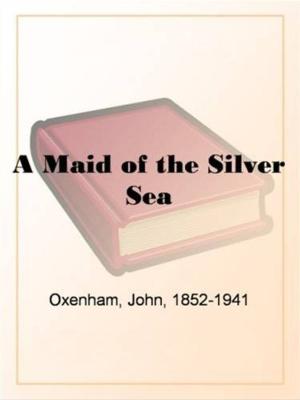 Book cover of A Maid Of The Silver Sea