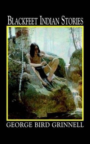Book cover of Blackfeet Indian Stories