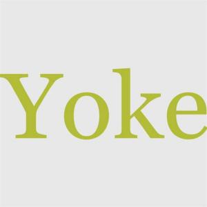 Cover of the book The Yoke by Bayard Tuckerman