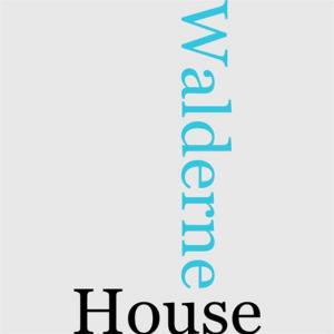 bigCover of the book The House Of Walderne by 